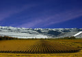 A South American Spring: A New Season of Wine Class Pack (12 bottles)