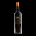 Blai Ferre Ona Priorat - 2024 (750ml)