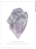 Alejandro Bulgheroni Estate Lithology Cabernet Sauvignon - 2015 (750ml)