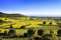 'Special Selections' Tour of Italy, Guided Tasting on May 13th