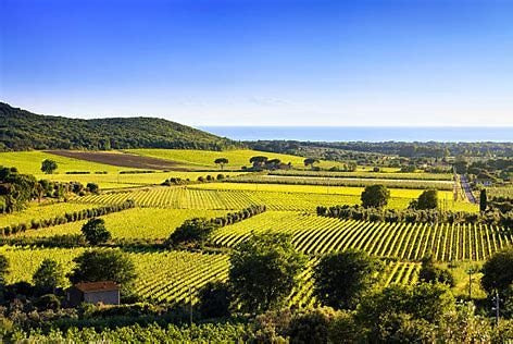 'Special Selections' Tour of Italy, Guided Tasting on May 13th