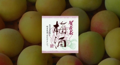 Kamoizumi Umeshu - NV (720ml)