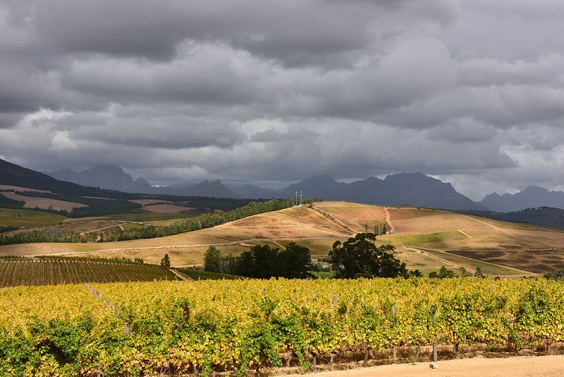 Sensational South Africa Wine Class Pack July '26