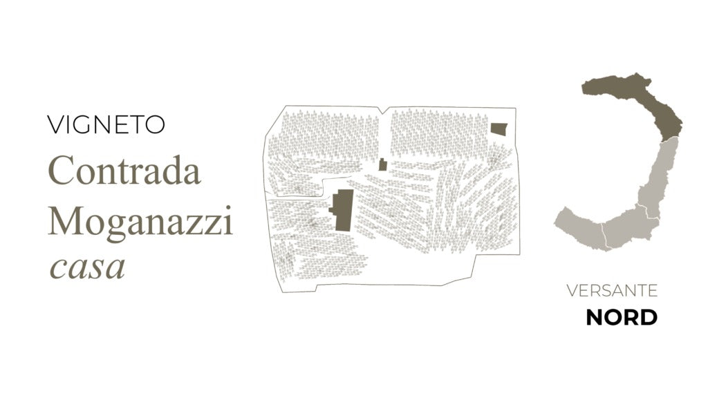 I Custodi delle Vigne dell’Etna Aetneus Etna Rosso - 2020 (750ml)