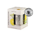 Strongwater Nordic Tonic Water (250ml can 4 Pk)