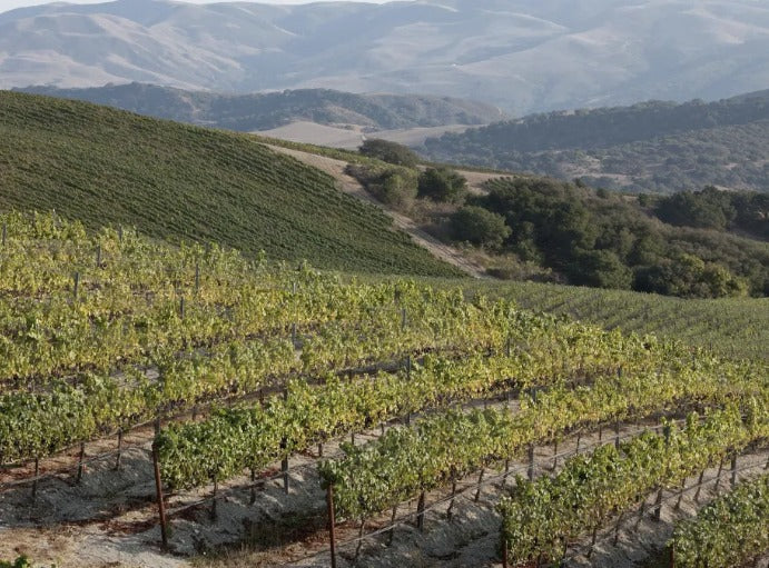 Rancho Las Hermanas Chardonnay - 2021 (750ml)