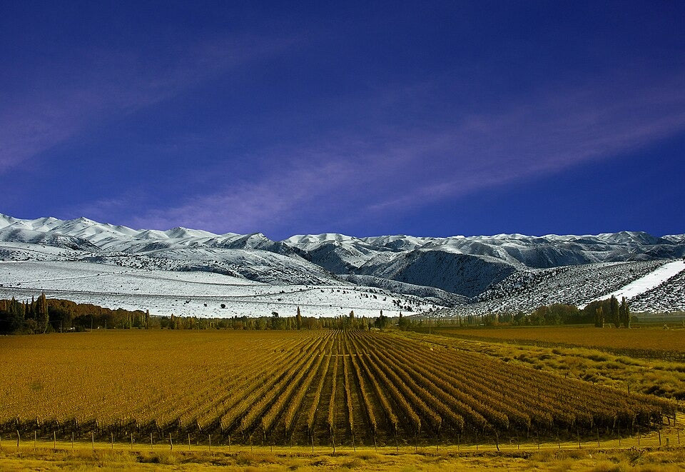 A South American Spring: A New Season of Wine Class Pack (12 bottles)