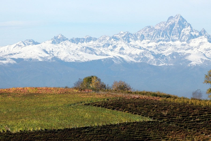 An Evening of Barolo with Vajra Hosted by Kevin Natoli (Wed, June 10)