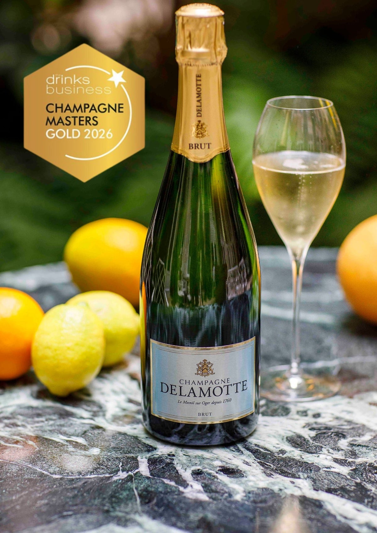 Delamotte Brut Brut Le Mesnil sur Oger - NV (750ml)