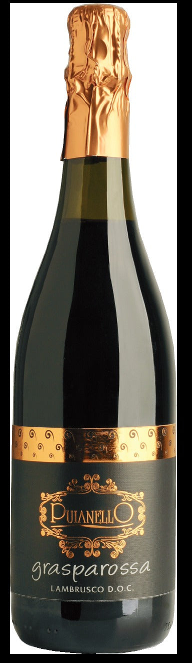 Cantina Puianello Lambrusco Colli di Scandiano edi Canossa - NV (750ml)