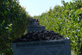 Jean Baptiste Duperray Beaujolais Villages Glou Glou - 2024 (1L)
