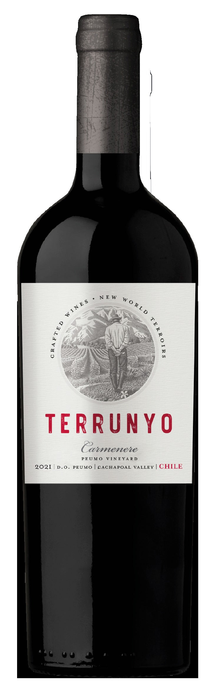 Concha y Toro Terrunyo Carmenere Blopck 27 - 2019 (750ml)