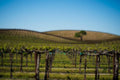 Coolest wines from the Hottest Regions Class Pack - May 2026 (14 Bottle Case)