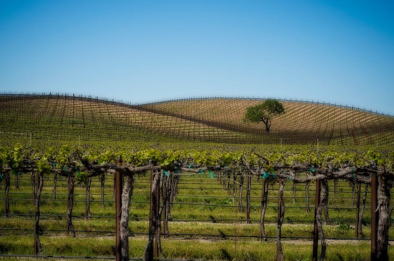 Coolest wines from the Hottest Regions Class Pack - May 2026 (14 Bottle Case)