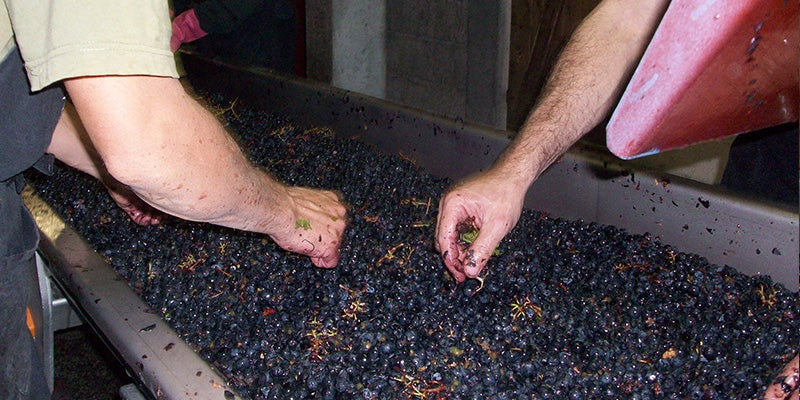 Chateau La Caminade Mission La Caminade Cahors - 2024 (750ml)