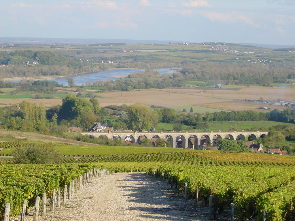 Gitton Silex Les Belles Dames Sancerre - 2024 (750 ml)